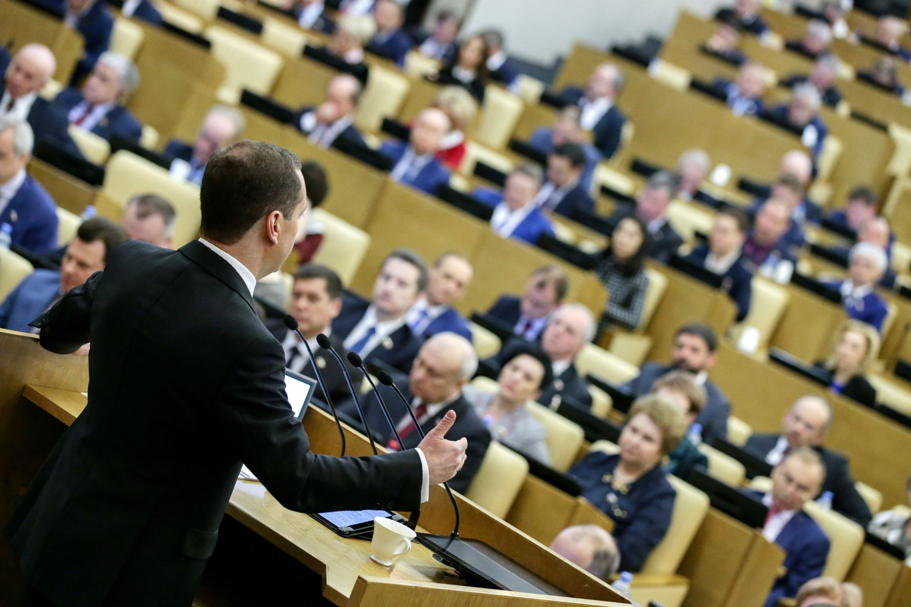Справки по депутатом 2024 г..