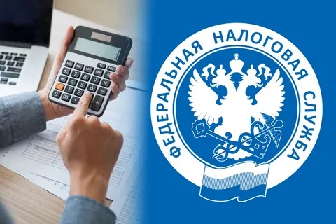 Услуги налоговой службы в МФЦ.